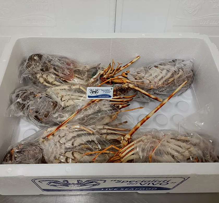 Frozen Royal Spiny Lobster