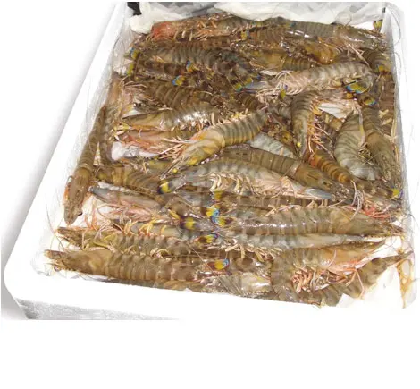 Imperial Prawn Imperial Prawn
