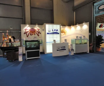 SDV stand