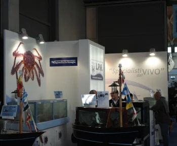 SDV stand