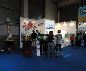 Stand SDV