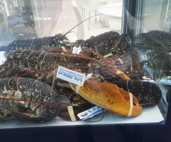 European Lobster