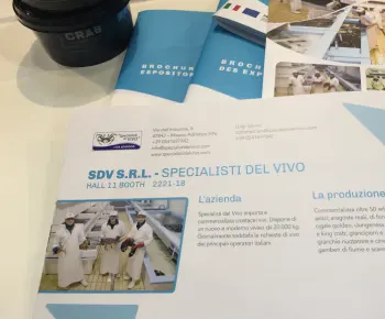 SDV stand