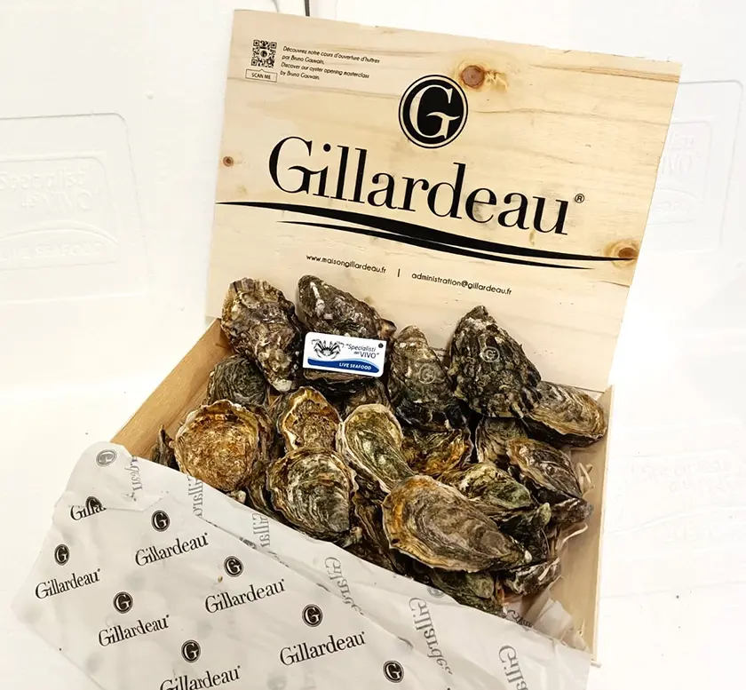 Ostrica Concava Speciale “Gillardeau” Ostrica Concava Speciale “Gillardeau”