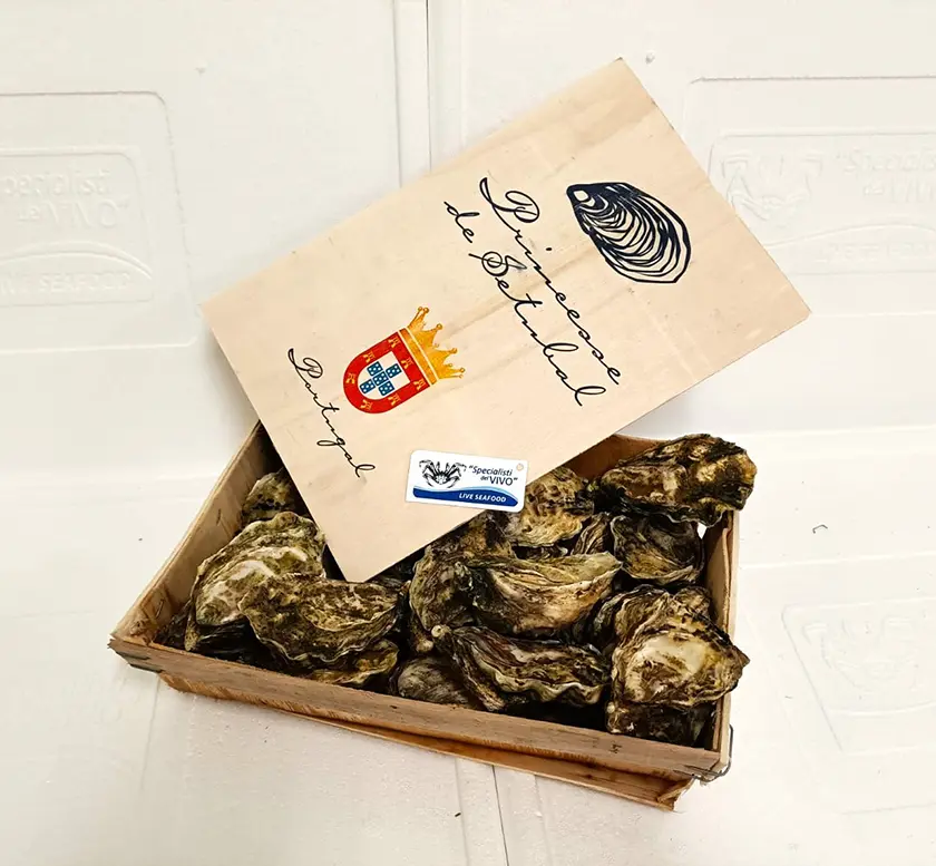 Ostrica Concava Speciale “Princesa Di Setubal” Ostrica Concava Speciale “Princesa Di Setubal”